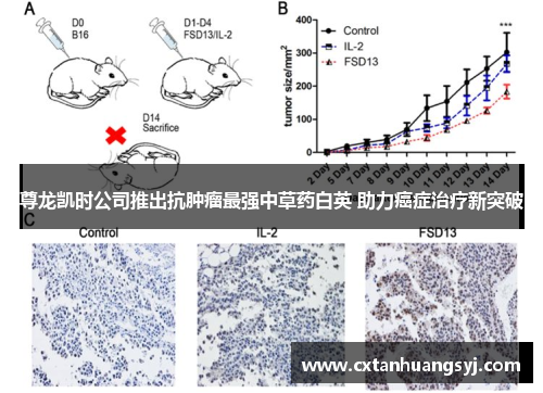 尊龙凯时公司推出抗肿瘤最强中草药白英 助力癌症治疗新突破