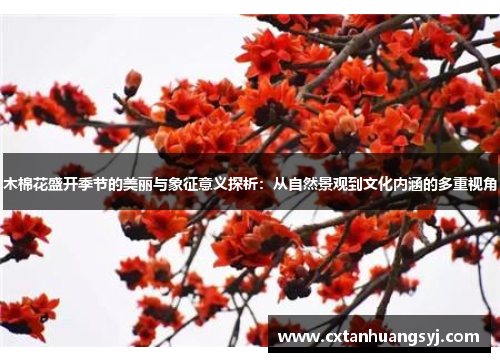木棉花盛开季节的美丽与象征意义探析：从自然景观到文化内涵的多重视角