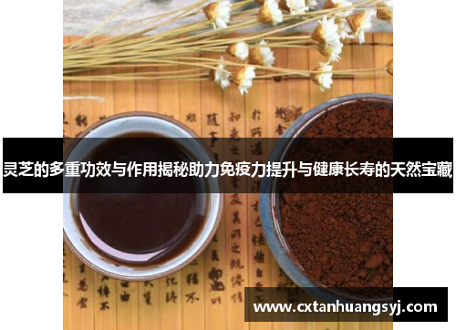 灵芝的多重功效与作用揭秘助力免疫力提升与健康长寿的天然宝藏