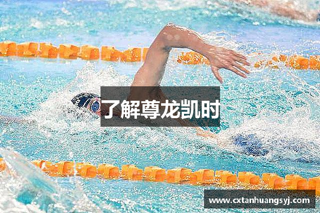了解尊龙凯时